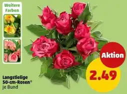 PENNY Langstielige 50-cm-Rosen Angebot