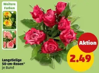 PENNY Langstielige 50-cm-Rosen Angebot