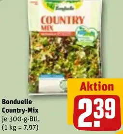 REWE Bonduelle Country-Mix Angebot