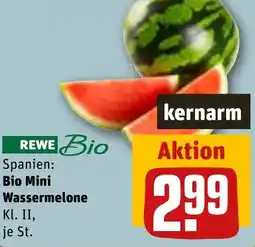 REWE Bio Mini Wassermelone Angebot