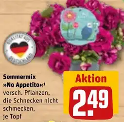 REWE Sommermix No Appetito Angebot