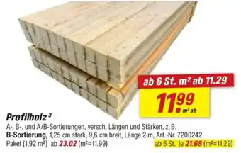 toom Baumarkt Profilholz Angebot