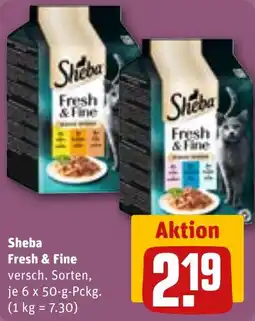 REWE Sheba Fresh & Fine Angebot