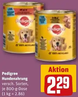 REWE Pedigree Hundenahrung Angebot