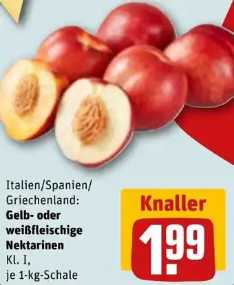 REWE Gelb oder weißfleischige Nektarinen Angebot