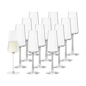 Netto Marken-Discount Stölzle Lausitz Champagnergläser Power 240 ml 12er Set Angebot