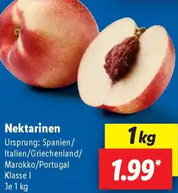 Lidl Nektarinen Angebot