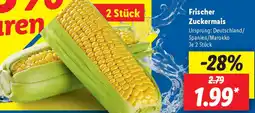Lidl Frischer Zuckermais Angebot