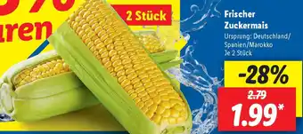 Lidl Frischer Zuckermais Angebot