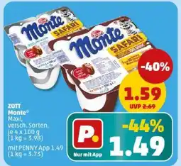 PENNY Zott Monte Angebot