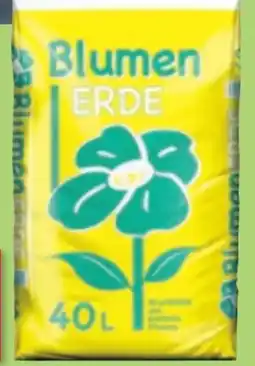 Thomas Philipps Blumenerde Angebot