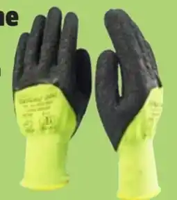 Thomas Philipps Grüner Jan Latex-Gartenhandschuhe Angebot