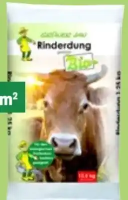 Thomas Philipps Grüner Jan Rinderdung Angebot