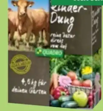 Thomas Philipps Rinder Dung Angebot