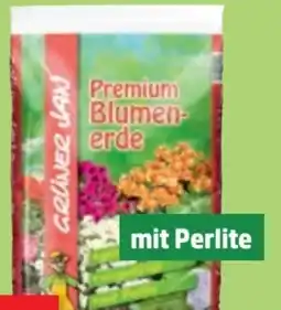Thomas Philipps Grüner Jan Blumenerde Angebot