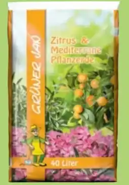 Thomas Philipps Grüner Jan Zitrus- und Mediterrane Pflanzerde Angebot