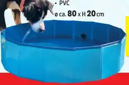 Thomas Philipps Hundepool Angebot