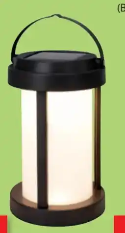 Thomas Philipps Shell Solar Led Campinglampe Angebot
