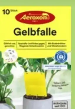 Thomas Philipps Aeroxon Gelbfalle Angebot