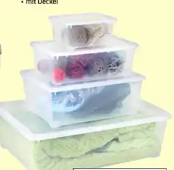 Thomas Philipps Klarsichtboxen Angebot