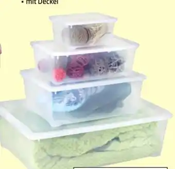 Thomas Philipps Klarsichtboxen Angebot
