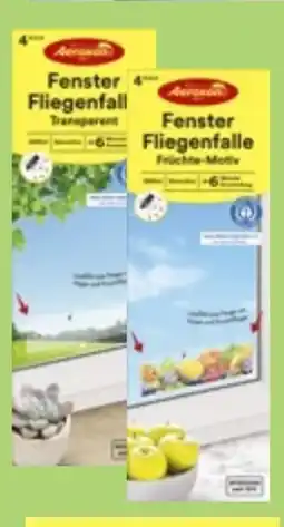 Thomas Philipps Aeroxon Fenster Fliegenfalle Angebot
