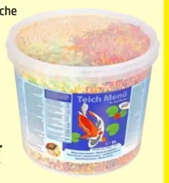 Thomas Philipps Super Sprint Teichmenü Angebot
