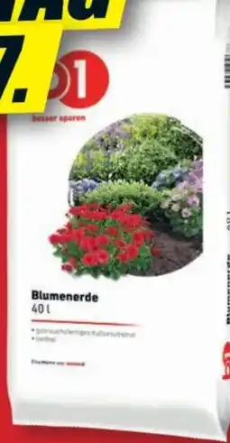 B1 Discount Baumarkt B1 Blumenerde Angebot