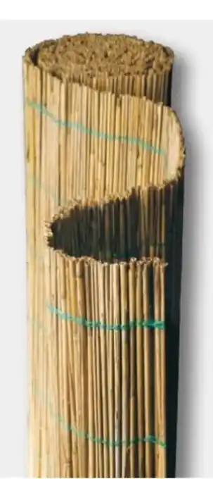 B1 Discount Baumarkt Schilfrohrmatten Angebot