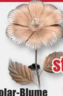 B1 Discount Baumarkt Solar-Blume Angebot