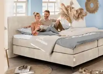 Trends Möbel Sansibar Boxspringbett Svendborg Angebot