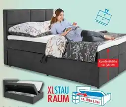Trends Möbel Boxbett Kiam Angebot