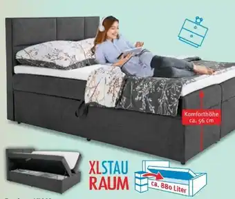 Trends Möbel Boxbett Kiam Angebot