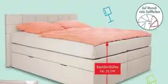 Trends Möbel Boxspringbett Ayda Angebot