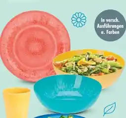 Trends Möbel Geschirr-Serie Rio Angebot
