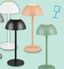 Trends Möbel Akku-Tischleuchte Ricardo Angebot