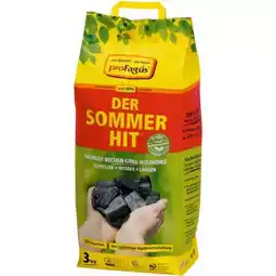 toom Baumarkt proFagus Holzkohle Der Sommerhit Angebot