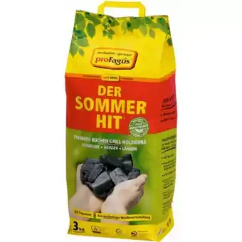 toom Baumarkt proFagus Holzkohle Der Sommerhit Angebot