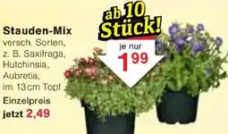 Jawoll Stauden-Mix Angebot