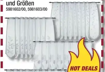 Poco Scheibengardinen Angebot