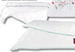 Poco Steppbett Angebot