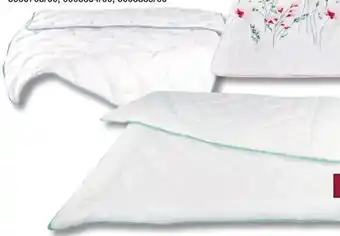 Poco Steppbett Angebot
