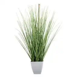 Poco Deko-Gras Angebot