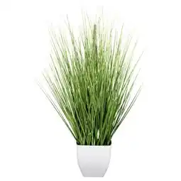 Poco Deko-Beach-Gras Angebot