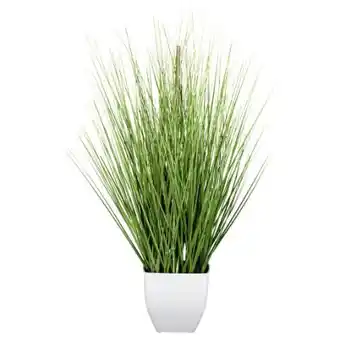 Poco Deko-Beach-Gras Angebot
