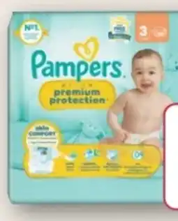 Rossmann Pampers Premium Protection Windeln Angebot