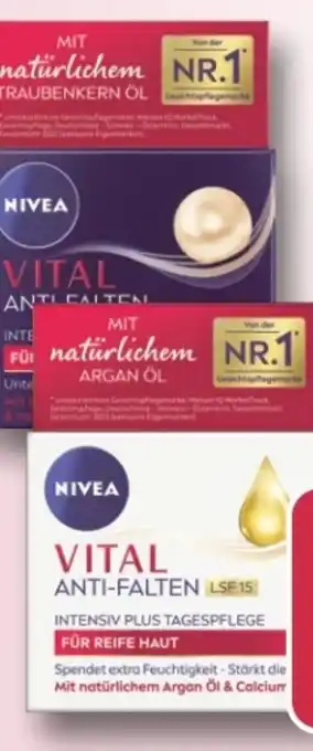 Rossmann Nivea Vital Anti-Falten Tagespflege Angebot