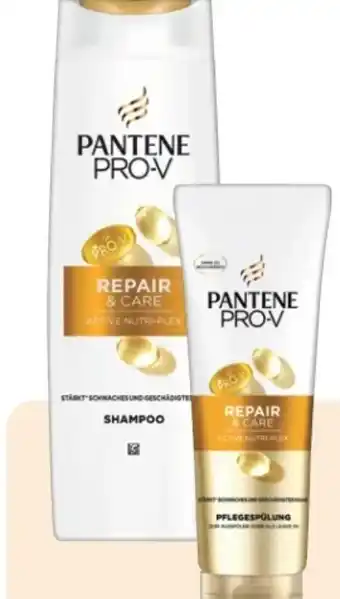 Rossmann Pantene Pro-V Repair & Care Shampoo Angebot
