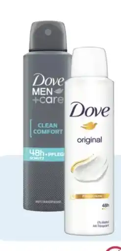 Rossmann Dove Original Deo-Spray Angebot