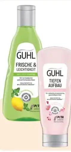 Rossmann Guhl Shampoo Tiefen Aufbau Angebot
